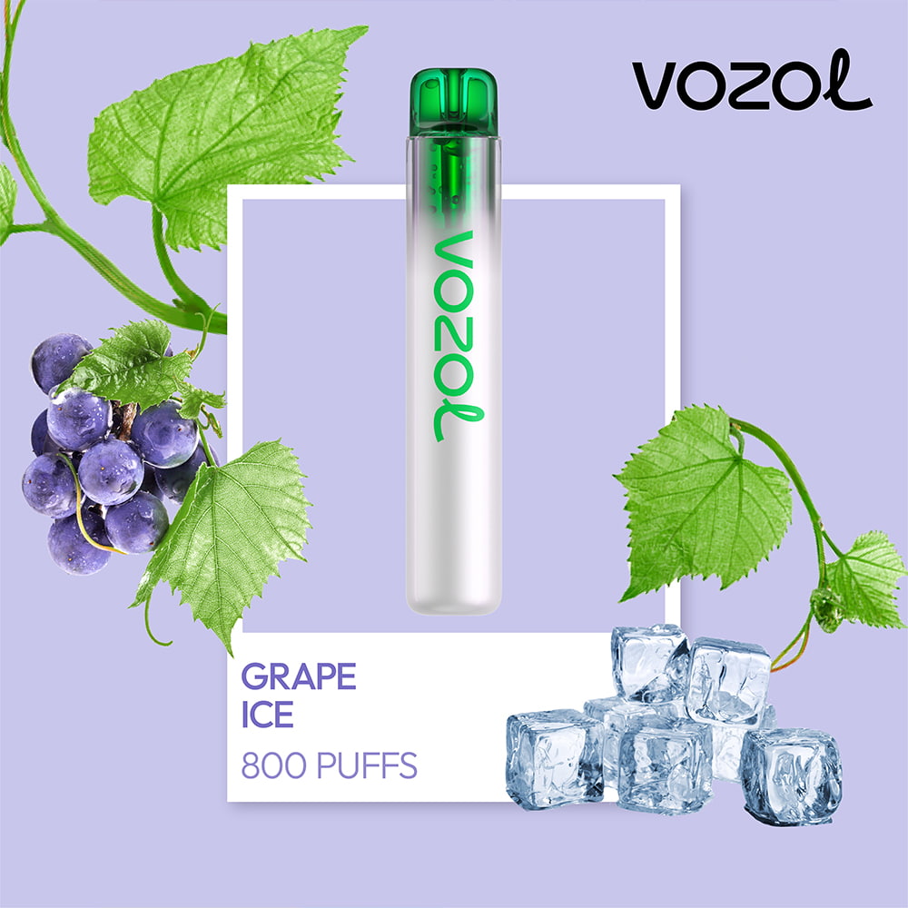 Vozol Neon 800 Vape μιας χρήσης 2ml 2%mg 800puffs Grape Ice