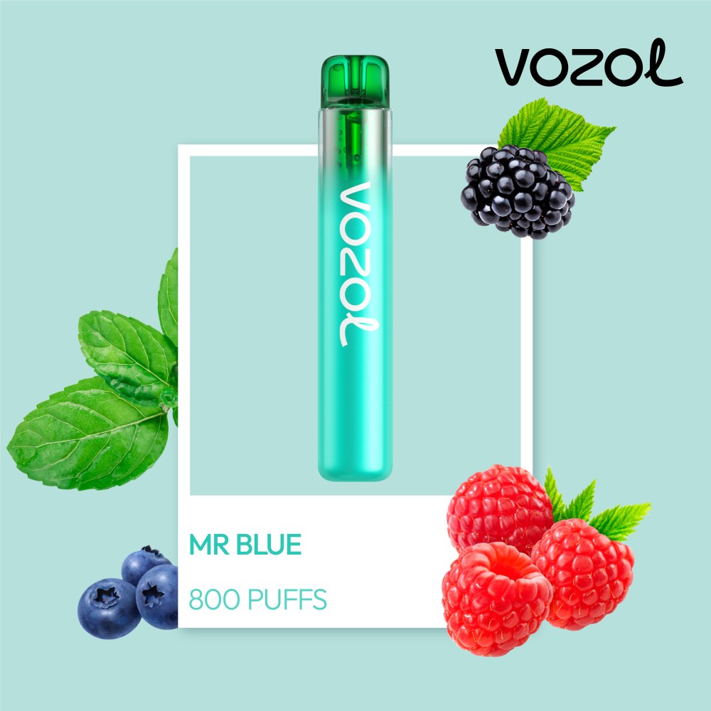 VOZOL NEON 800 VAPE ΜΙΑΣ ΧΡΗΣΗΣ 2ML 2%NIC 800PUFF MR BLUE